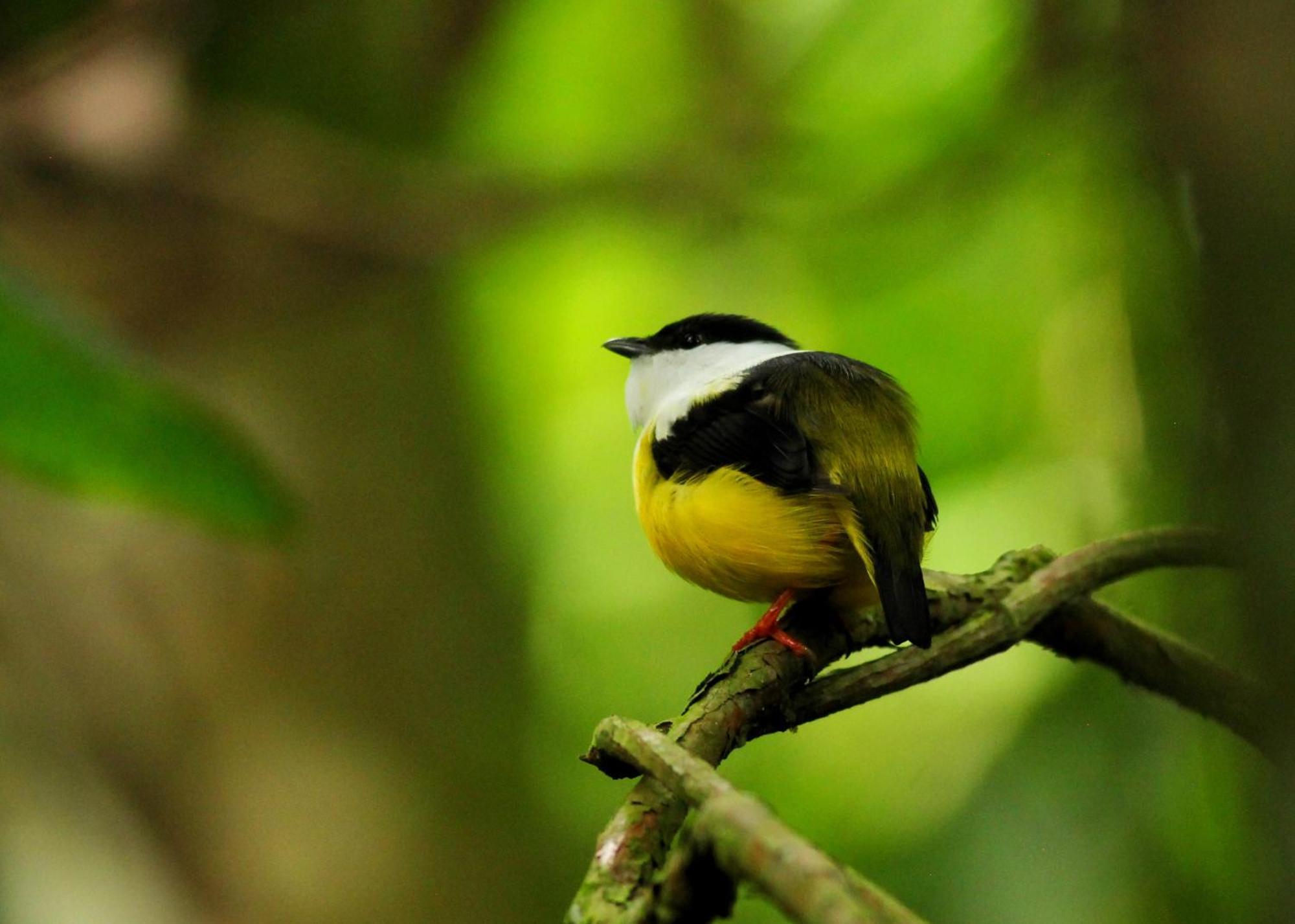Las Arrieras Nature Reserve And Ecolodge Horquetas Eksteriør bilde